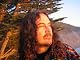 Brett Bevell