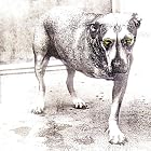 Click here to buy Alice in Chains by  Alice In Chains .