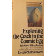 Exploring the Crack in the Cosmic Egg