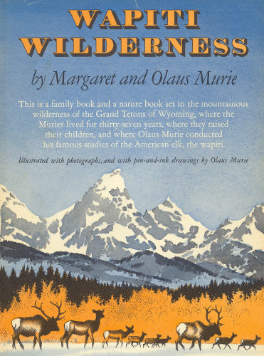 wapiti