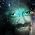 Thumbnail image of Robert Jeschonek