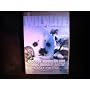 Wildlife: Raccoon, Mountain Lion, Fishing Animals <b>DVD</b> ~ Artist Not Provided