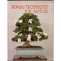 Bonsai techniques for satsuki