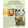 Anne of Green Gables: Collector's Edition <b>DVD</b> ~ Megan Follows