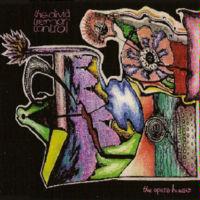 The Opera House by  The Olivia Tremor Control 