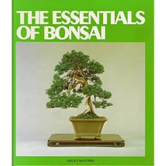 The Essentials of Bonsai