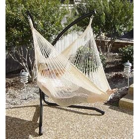 Green Eggs and Hammocks Xchair Indoor Hammock