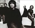 Super Furry Animals
