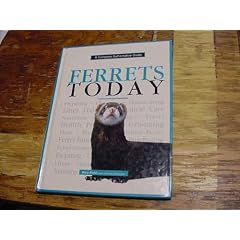 Ferrets Today
