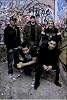 Zebrahead