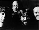 Trey Anastasio