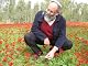 Mordechai Ben-Menachem