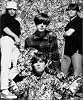Stone Roses