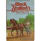 The Black Stallion's Blood Bay Colt by  Walter Farley
