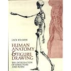 Human anatomy and figure drawing;: The integration of structure and form by  Jack Kramer