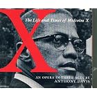 X: The Life and Times of Malcolm X by Marty Ehrlich, Autris Paige, Eugene Perry, Reginald Pindell, and Richard Byrne