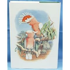 Australian Parrots