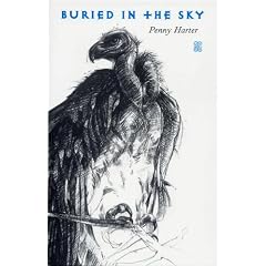 Buried in the Sky