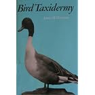 Bird Taxidermy by  James Maurice Harrison