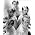 Thumbnail image of The Beach Boys