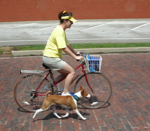 WalkyDog Picture