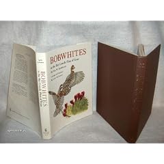 Bobwhites in the Rio Grande Plain of Texas