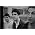 Thumbnail image of Guster