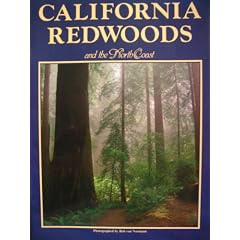 California Redwoods and the North Coast