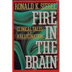 Fire in the Brain