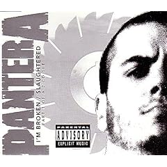 Im Broken Pt. 1 by Pantera