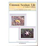 Common seashore life of southern California: Illustrated by Sam Hinton. Edited by Vinson Brown (Naturegraph ocean guidebooks) book cover