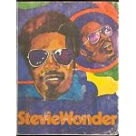 Stevie Wonder (Rock 'n Pop Stars) book cover