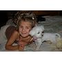 Adobe Photoshop Elements 6 & Adobe Premiere Elements 4 [OLD VERSION]