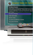 Sony BRAVIA Internet Video Link with a Sony BRAVIA TV