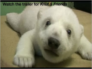 Click to watch this video
