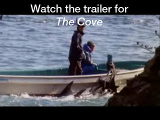 Click to watch this video