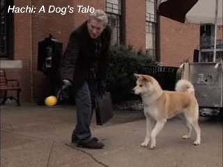 Click to watch this video