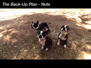 Click to watch this video