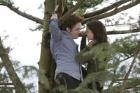 twilightx