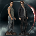 Twilight Standees