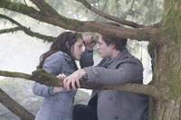 twilight