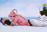 DBZ9