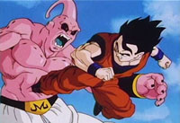 DBZ9