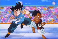 DBZ9