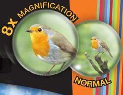 This is a picture of the 8X magnification difference