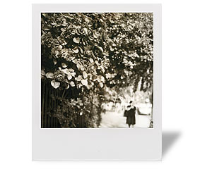 Sample PX 600 Silver Shade image