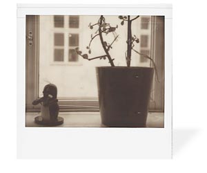 Sample PZ 600 Silver Shade image
