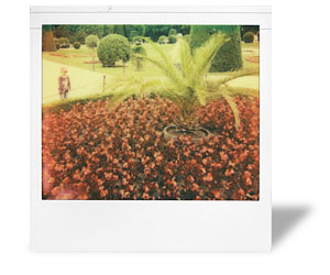 Sample PZ 680 Color Shade image