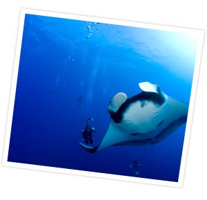 Underwater