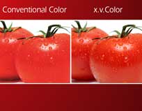 Standard RGB Color Profile